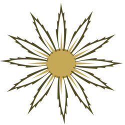 Sol y Agave unidos por arte